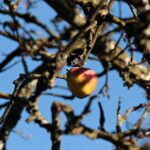 [TEMP] Sprzedam działkę nr 17