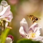 [TEMP] Sprzedam działkę nr 15 – blisko wejścia