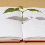 [TEMP] Oddam donice ceramiczne