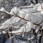 [TEMP] Sprzedam działkę nr 8 – idealna dla rodziny